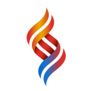 BSS Group
