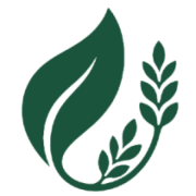 Vinova